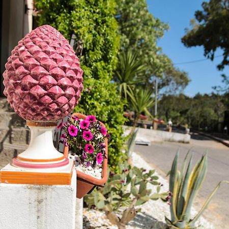 Agriturist Soleluna Caltagirone Exteriér fotografie